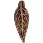 The Bronze Line, Long Leaf Pinch Bail , 5 Finishes - Image 5